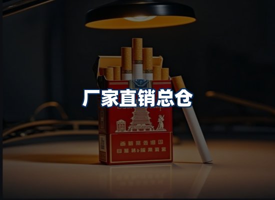 专业团队办公环境